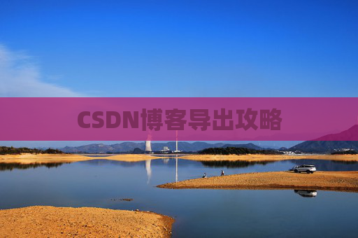 CSDN博客导出攻略